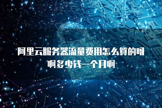 阿里云服务器流量费用怎么算的呀啊多少钱一个月啊