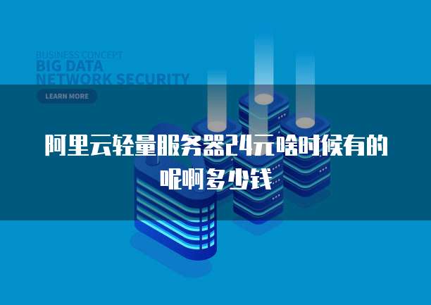 阿里云轻量服务器24元啥时候有的呢啊多少钱