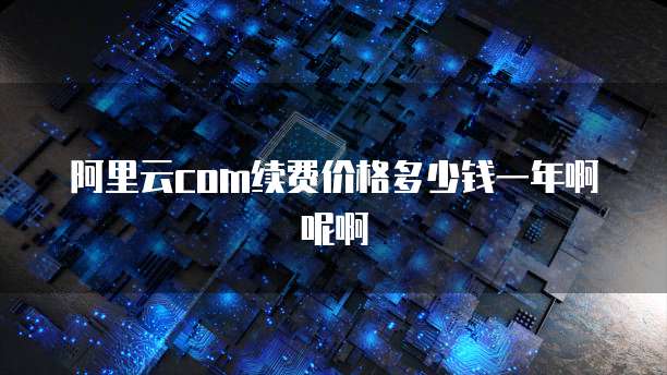 阿里云com续费价格多少钱一年啊呢啊