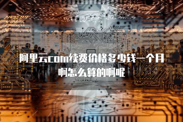 阿里云com续费价格多少钱一个月啊怎么算的啊呢