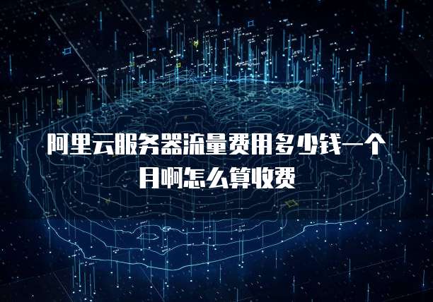 阿里云服务器流量费用多少钱一个月啊怎么算收费