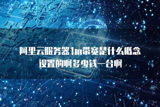 阿里云服务器1m带宽是什么概念设置的啊多少钱一台啊
