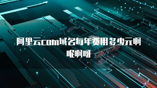 阿里云com域名每年费用多少元啊呢啊呀
