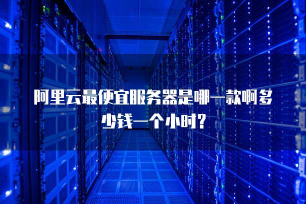 阿里云最便宜服务器是哪一款啊多少钱一个小时?