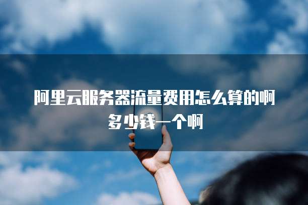 阿里云服务器流量费用怎么算的啊多少钱一个啊