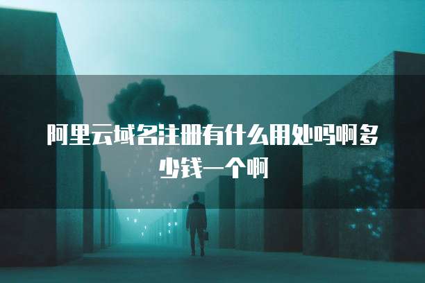 阿里云域名注册有什么用处吗啊多少钱一个啊