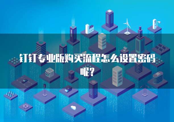 钉钉专业版购买流程怎么设置密码呢?