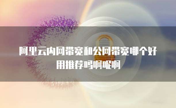 阿里云内网带宽和公网带宽哪个好用推荐吗啊呢啊