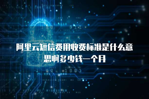阿里云短信费用收费标准是什么意思啊多少钱一个月