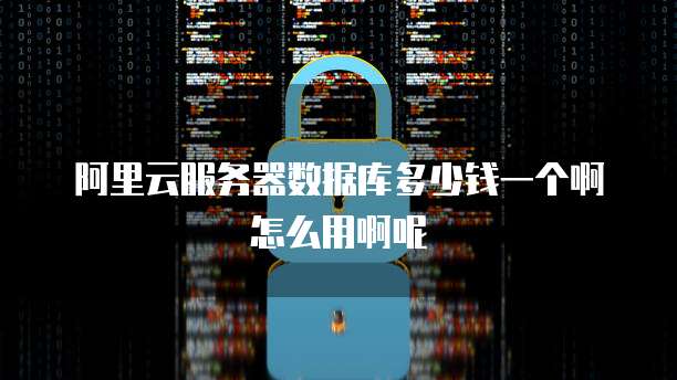 阿里云服务器数据库多少钱一个啊怎么用啊呢