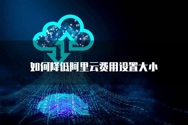 如何降低阿里云费用设置大小