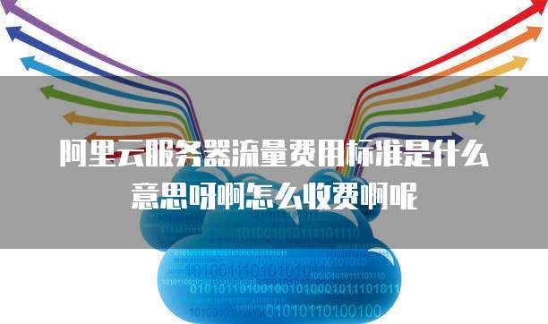 阿里云服务器流量费用标准是什么意思呀啊怎么收费啊呢