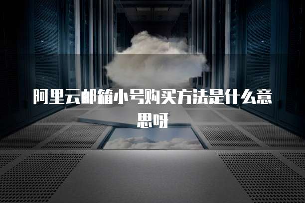 阿里云邮箱小号购买方法是什么意思呀