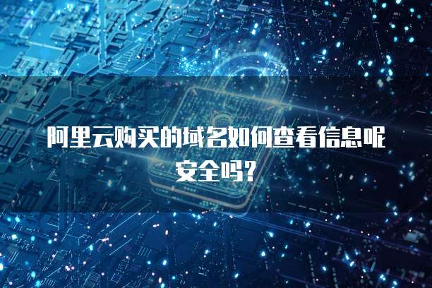 阿里云购买的域名如何查看信息呢安全吗?