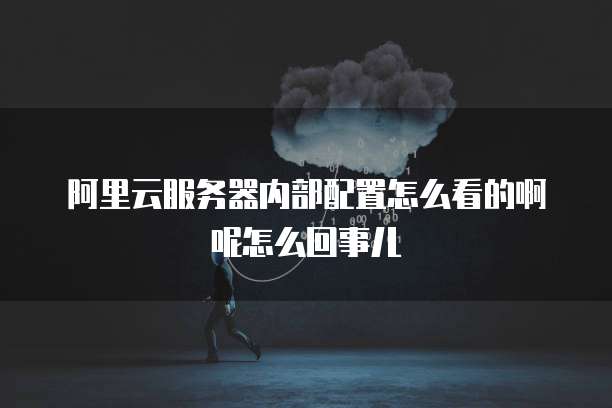 阿里云服务器内部配置怎么看的啊呢怎么回事儿