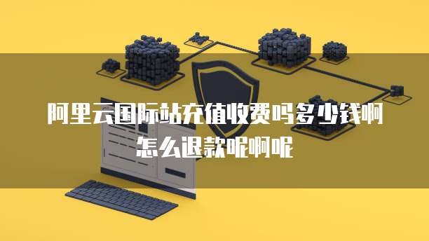 阿里云国际站充值收费吗多少钱啊怎么退款呢啊呢