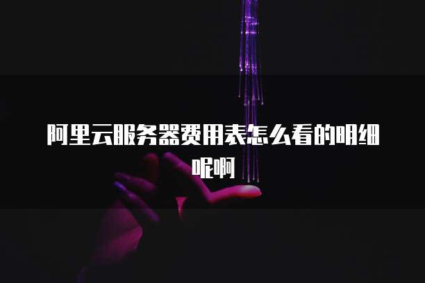 阿里云服务器费用表怎么看的明细呢啊