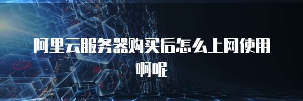 阿里云服务器购买后怎么上网使用啊呢