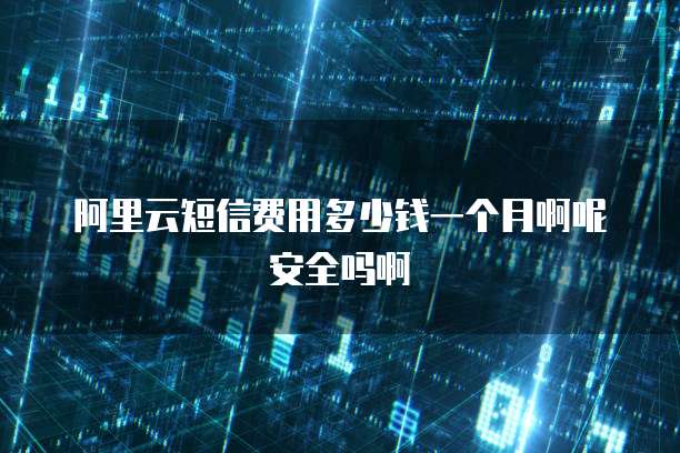 阿里云短信费用多少钱一个月啊呢安全吗啊