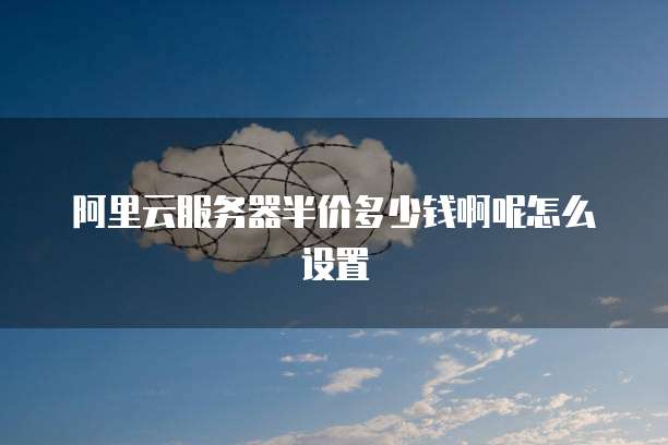 阿里云服务器半价多少钱啊呢怎么设置
