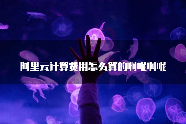 阿里云计算费用怎么算的啊呢啊呢