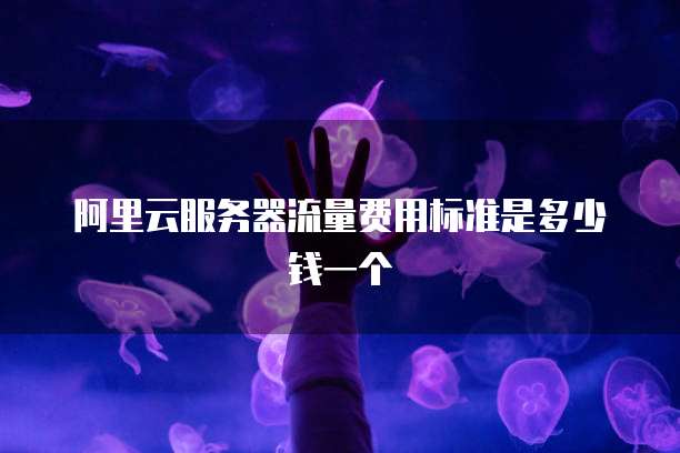 阿里云服务器流量费用标准是多少钱一个