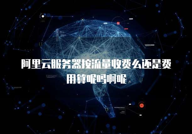 阿里云服务器按流量收费么还是费用算呢吗啊呢