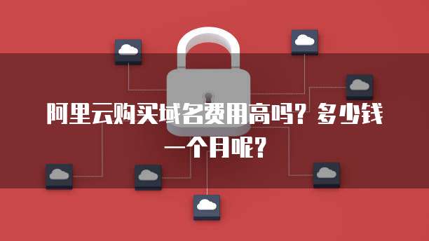 阿里云购买域名费用高吗?多少钱一个月呢?