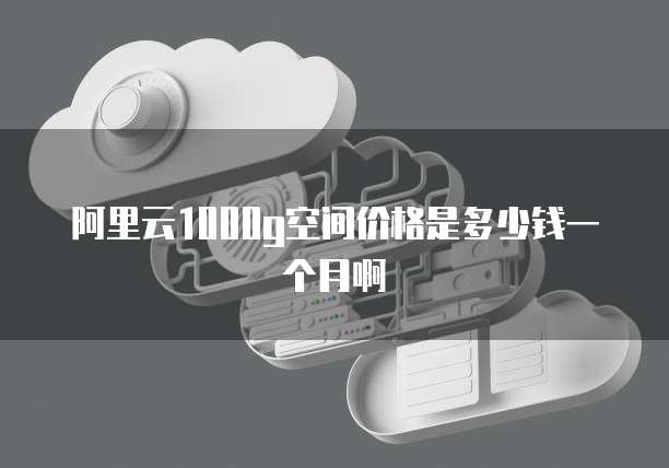 阿里云1000g空间价格是多少钱一个月啊