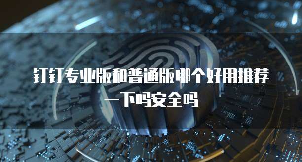 钉钉专业版和普通版哪个好用推荐一下吗安全吗