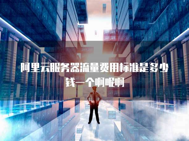 阿里云服务器流量费用标准是多少钱一个啊呢啊