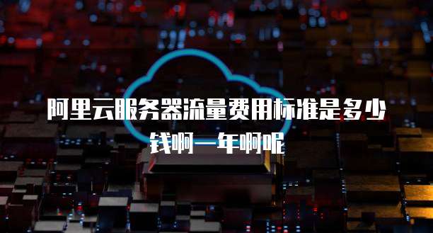 阿里云服务器流量费用标准是多少钱啊一年啊呢