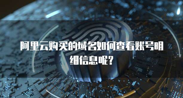 阿里云购买的域名如何查看账号明细信息呢?