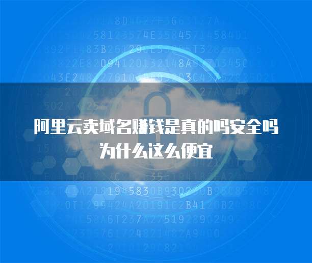 阿里云卖域名赚钱是真的吗安全吗为什么这么便宜