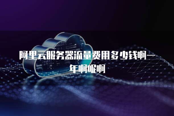 阿里云服务器流量费用多少钱啊一年啊呢啊