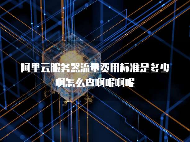 阿里云服务器流量费用标准是多少啊怎么查啊呢啊呢