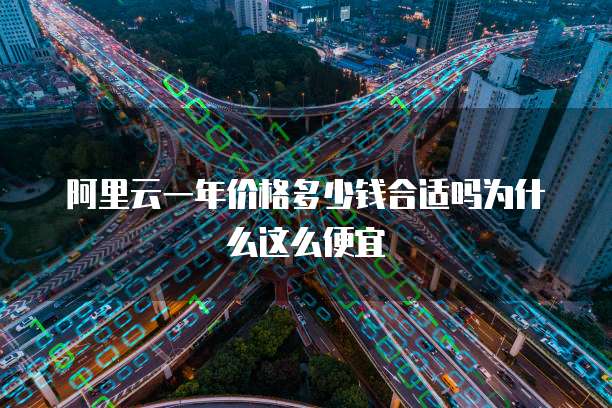 阿里云一年价格多少钱合适吗为什么这么便宜