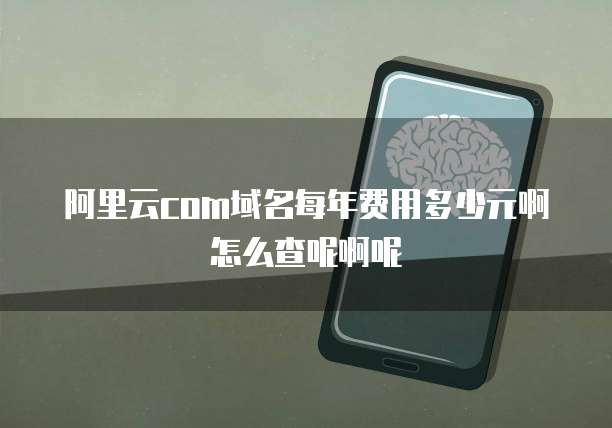 阿里云com域名每年费用多少元啊怎么查呢啊呢
