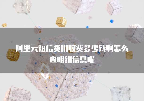 阿里云短信费用收费多少钱啊怎么查明细信息呢