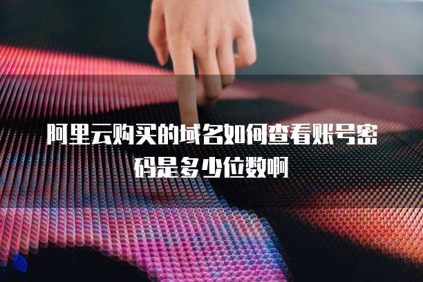 阿里云购买的域名如何查看账号密码是多少位数啊