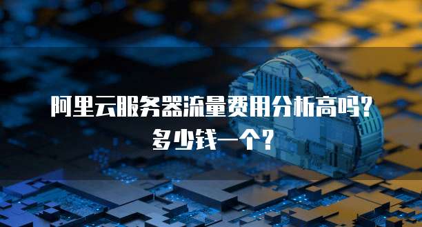 阿里云服务器流量费用分析高吗?多少钱一个?