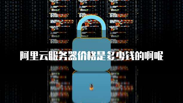 阿里云服务器价格是多少钱的啊呢