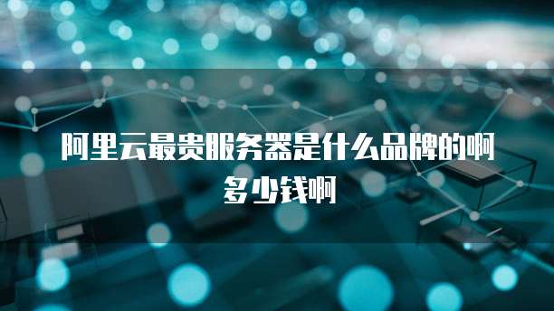 阿里云最贵服务器是什么品牌的啊多少钱啊