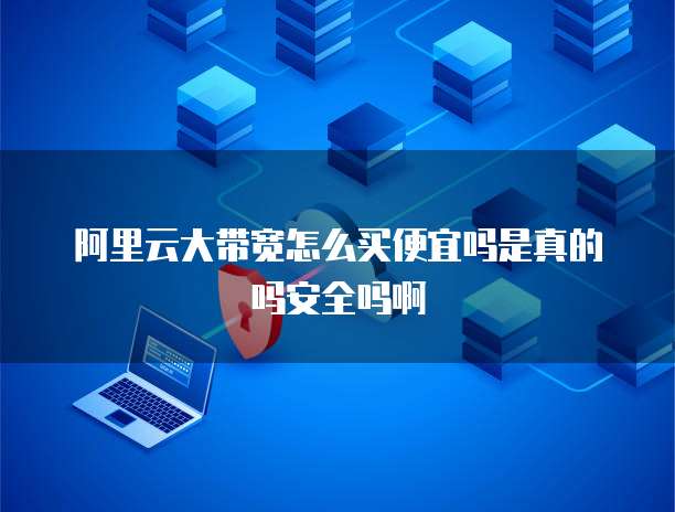 阿里云大带宽怎么买便宜吗是真的吗安全吗啊
