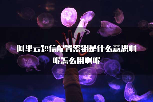 阿里云短信配置密钥是什么意思啊呢怎么用啊呢