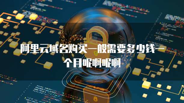 阿里云域名购买一般需要多少钱一个月呢啊呢啊