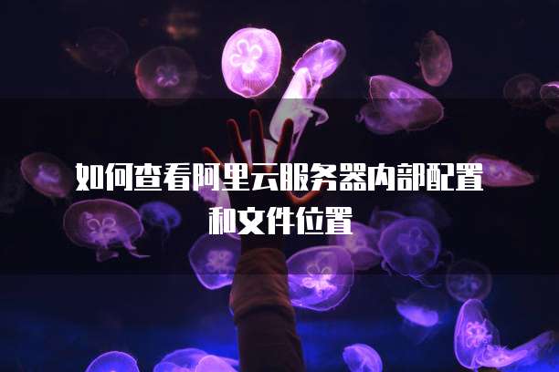 如何查看阿里云服务器内部配置和文件位置