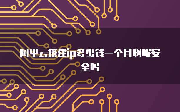 阿里云搭建ip多少钱一个月啊呢安全吗