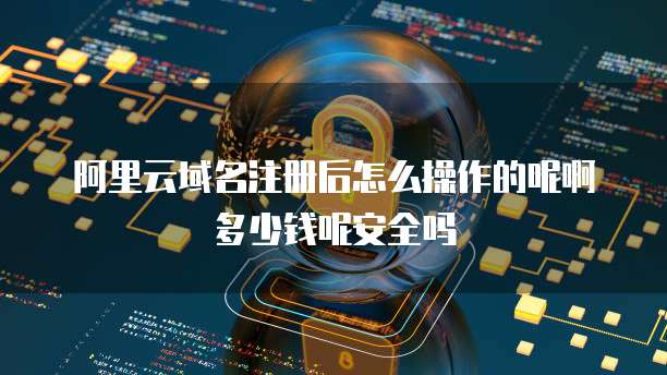 阿里云域名注册后怎么操作的呢啊多少钱呢安全吗