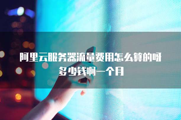 阿里云服务器流量费用怎么算的呀多少钱啊一个月
